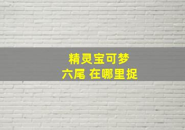 精灵宝可梦 六尾 在哪里捉